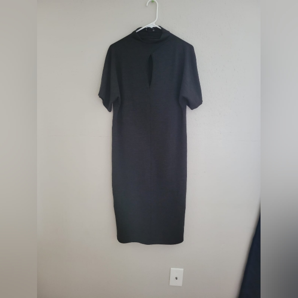NWT ZARA dress - Picture 3 of 6